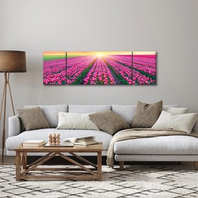 Obraz pole tulipanów ze słońcem (170x50 cm)