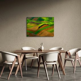 Obraz - Pola, łąki (70x50 cm)