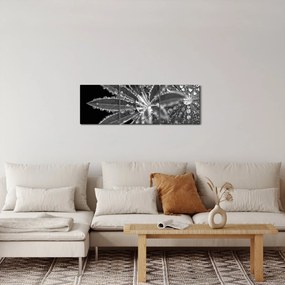 Obraz - Krople (z zegarem) (90x30 cm)