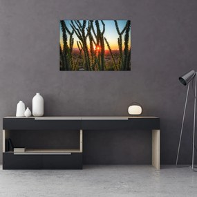 Obraz - Rośliny (70x50 cm)