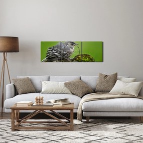 Obraz - Muchołówka (z zegarem) (90x30 cm)