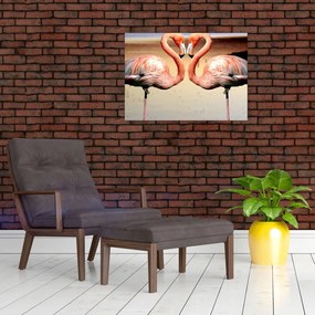 Obraz - dwa flamingi (70x50 cm)