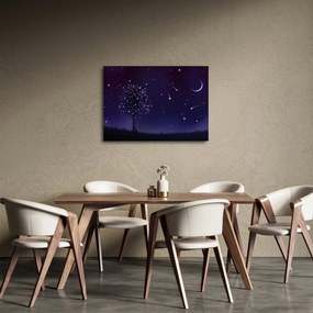 Obraz - Noc uchwycona przez ilustrację (70x50 cm)