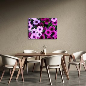 Obraz - Kwiaty (70x50 cm)