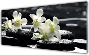 Panel nad blat kuchenny Storczyk Na Gładkich Kamieniach