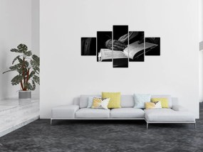 Obraz - Książka (125x70 cm)