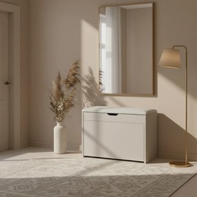 Szafka na buty z siedziskiem i wysuwanymi półkami VAULT, 57 x 30 x 53 cm