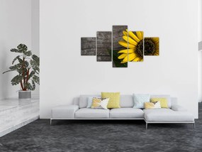 Obraz - Kwiat słonecznika (125x70 cm)