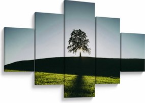 Obraz natury - drzewo (125x70 cm)