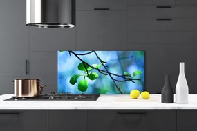 Panel Szklany Świeże Liście na Gałązce