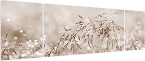 Obraz - Łąka w odcieniach brązu (170x50 cm)