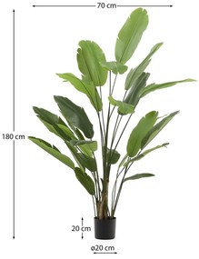 Sztuczny bananowiec (wysokość 210 cm) – Kave Home