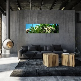 Obraz - Plumeria (170x50 cm)