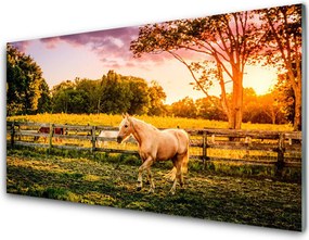 Szkło do Kuchni na Ścianę Dzikie Konie Na Pastwisku