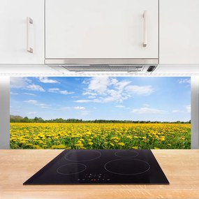 Panel Szklany do Kuchni Słoneczna Łąka Mniszków