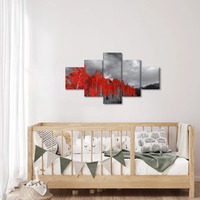 Obraz - Drzewa w kolorze jesieni (125x70 cm)