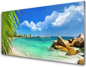 Panel Szklany Skaliste Wybrzeże nad Oceanem