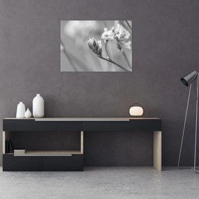 Obraz na szkle - Kwitnący kwiat (70x50 cm)