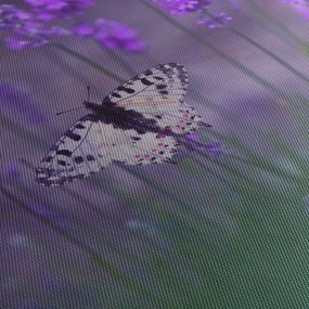 Obraz - Motyl w lawendach (z zegarem) (90x30 cm)