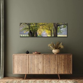Zdjęcie - Smoky Mountains, Gatlinburg, USA (170x50 cm)