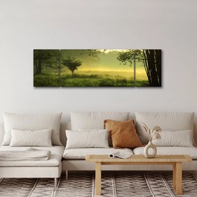 Obraz - Budzący się las (170x50 cm)