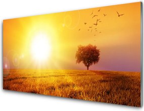 Panel Szklany Wieczorny Lot nad Łąką
