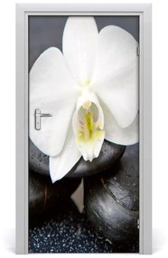 Nalepka Naklejka fototapeta na drzwi Orchidea zen