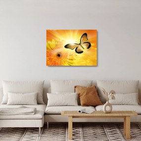 Obraz na szkle - Żółty motyl z kwiatkiem (70x50 cm)