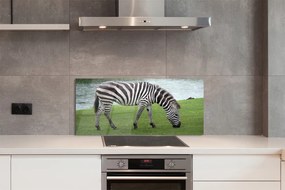 Szklany Panel Zebra