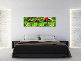 Obraz - Sunshine of the Seven Suns (170x50 cm)