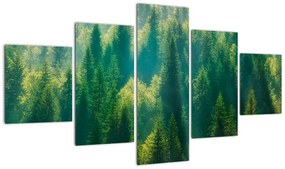 Obraz - Las sosnowy (125x70 cm)