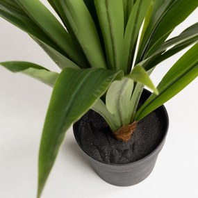 Sztuczna roślina (wysokość 80 cm) Yucca – Kave Home