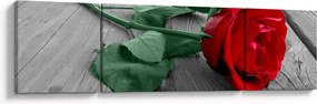 Obraz - Czerwona róża z zieloną łodygą (170x50 cm)