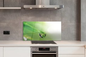 Panel nad Blat Kuchenny Słoneczna Kropla na Liściu