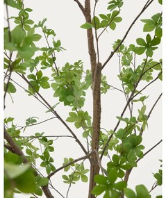 Sztuczna roślina (wysokość 214 cm) Enkianthus – Kave Home