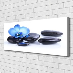 Obraz na płótnie Kwiatowa Harmonia na Kamieniach