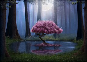 Obraz - Magiczna noc (70x50 cm)