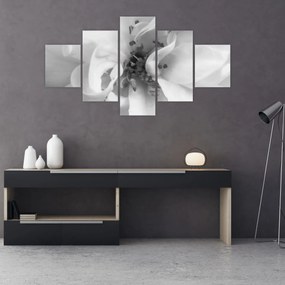 Obraz - Kwiat, czarno - biały (125x70 cm)