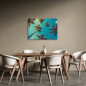 Obraz na szkle - Wysokie palmy (70x50 cm)