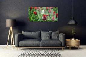 Obraz Akrylowy Tulipany Kwiaty Natura