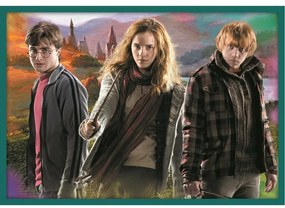 Trefl Puzzle Harry Potter, 10w1