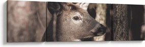 Obraz - Jeleń w lesie (170x50 cm)