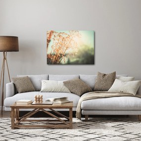 Obraz - Rośliny łąkowe (70x50 cm)