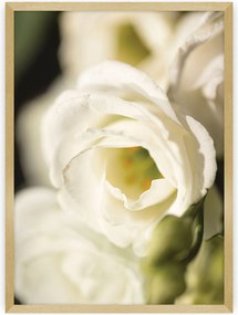 Plakat Flower Wall