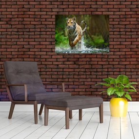 Obraz na szkle - biegnący tygrys (70x50 cm)