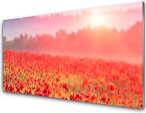 Panel Kuchenny Sielska Łąka W Kwiatach