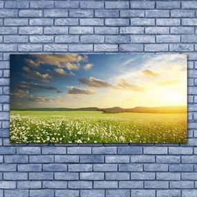 Obraz Canvas Łąka Kwiaty Krajobraz