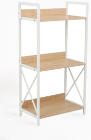 Rega Lesly z 3 pókami