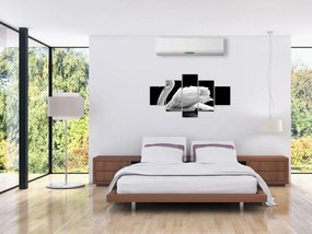 Obraz czarno - białego łabędzia (125x70 cm)