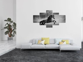 Obraz - Czarny i biały koń (125x70 cm)